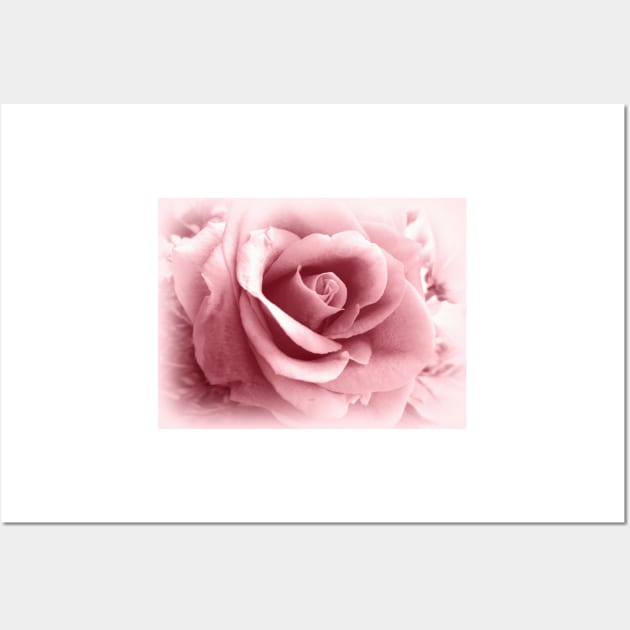 Rose Vignette Pink Wall Art by MAMMAJAMMA